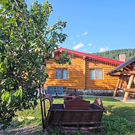 Cabana Alesia, Relaxare La Poalele Raraului Câmpulung Moldovenesc エクステリア 写真