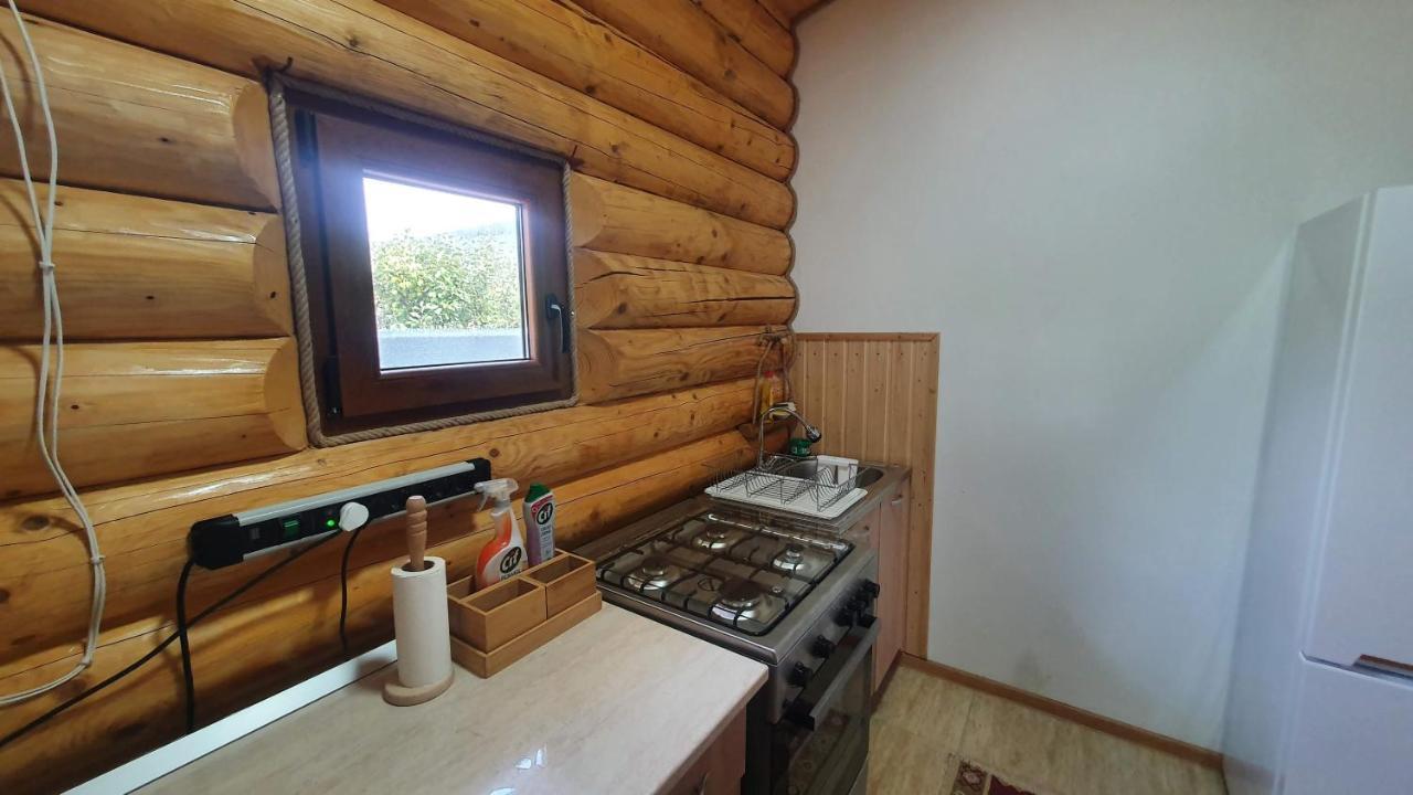 Cabana Alesia, Relaxare La Poalele Raraului Câmpulung Moldovenesc エクステリア 写真